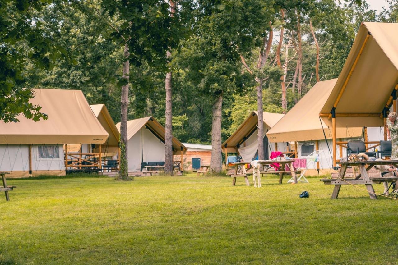 Europarcs Reestervallei IJhorst Exterior foto